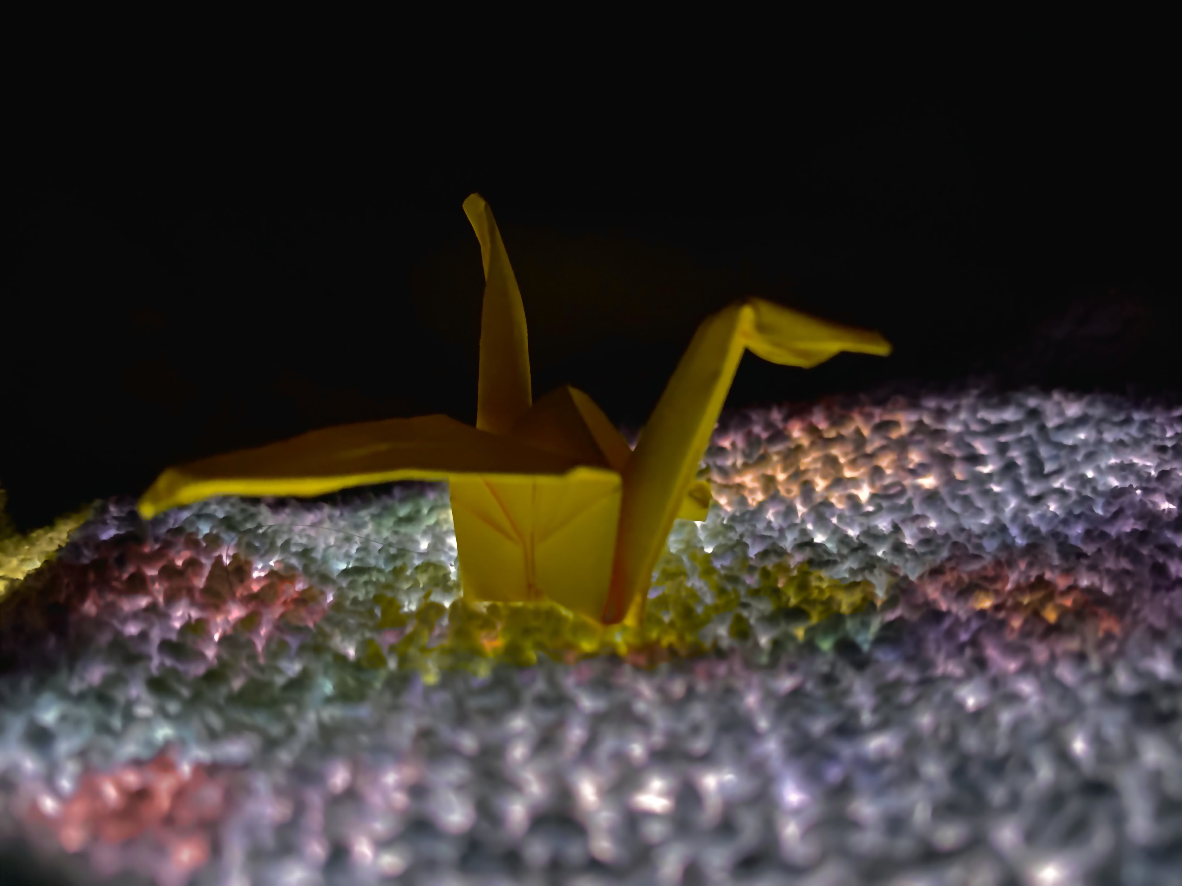 Yellow Crane